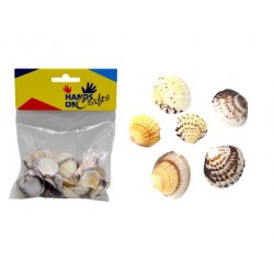 Craft Seashell 140g / Bag