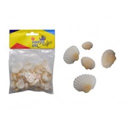 Craft Seashell 120g / Bag